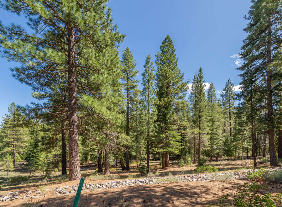 Nestled amidst a serene forest, this property offers a tranquil escape.