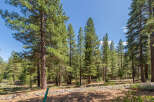Nestled amidst a serene forest, this property offers a tranquil escape.