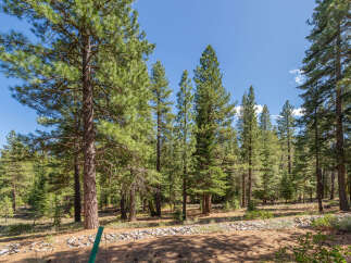 Nestled amidst a serene forest, this property offers a tranquil escape.