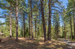 Discover the tranquility of this stunning property nestled in a lush forest setting.