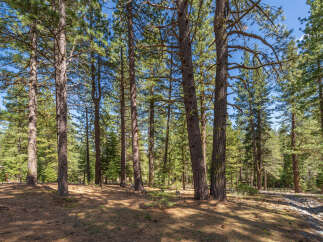 Discover the tranquility of this stunning property nestled in a lush forest setting.