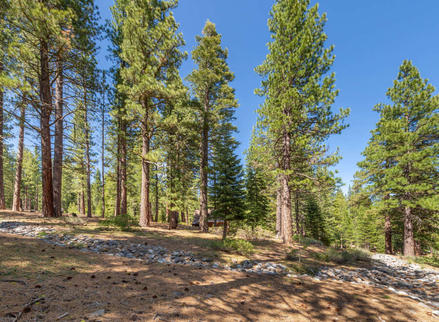 Discover the tranquility of this stunning property surrounded by towering trees and a serene natural landscape.