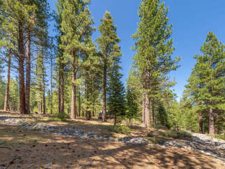 Discover the tranquility of this stunning property surrounded by towering trees and a serene natural landscape.