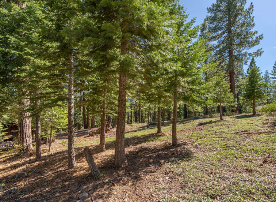 Discover the tranquility of this stunning forest property.