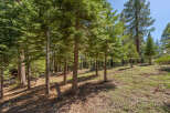 Discover the tranquility of this stunning forest property.