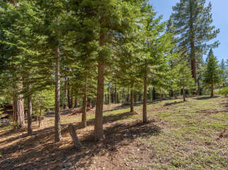 Discover the tranquility of this stunning forest property.
