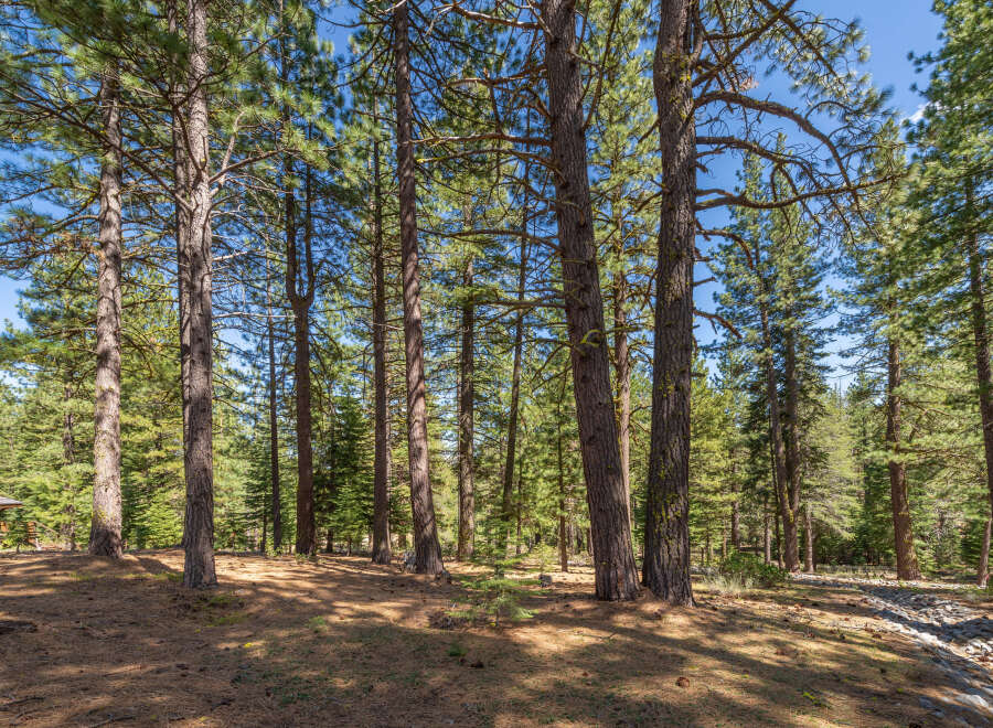 Discover the tranquility of this stunning property nestled in a lush forest setting.