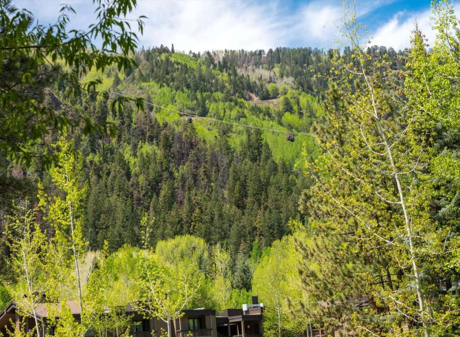 Nestled amidst a lush, verdant landscape, this property offers breathtaking views of a mountain and a cable car.
