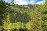 Nestled amidst a lush, verdant landscape, this property offers breathtaking views of a mountain and a cable car.