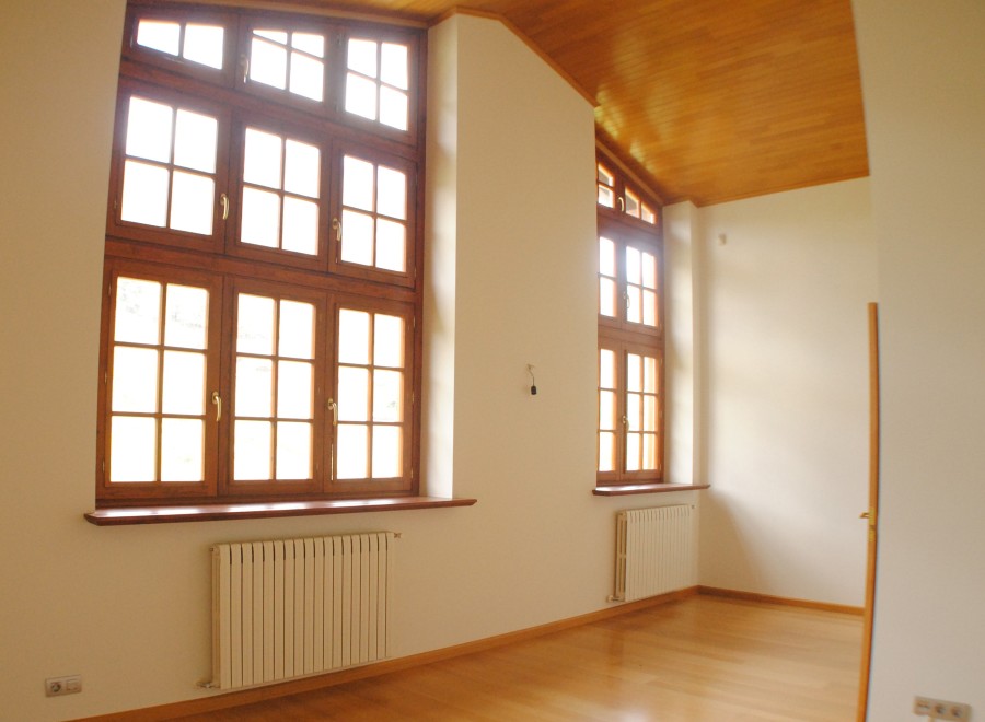 Bright and airy room with large multi-paned windows, hardwood floors, and modern radiators.