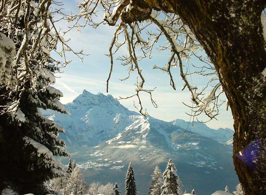 Experience the beauty of mountain living with this stunning property.