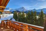 Enjoy breathtaking mountain views from this stunning property.