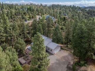 Nestled amidst a lush forest, this stunning property offers a serene escape.