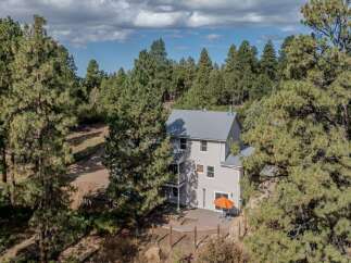 Nestled amidst a lush forest, this stunning property offers a serene escape.