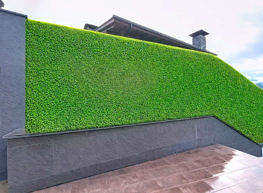 This property showcases a stunning green wall, creating a unique and visually appealing exterior.