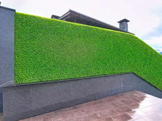 This property showcases a stunning green wall, creating a unique and visually appealing exterior.