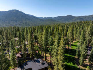 Nestled amidst a lush forest, this property offers unparalleled privacy and tranquility.