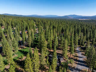Nestled amidst a lush forest, this property offers a serene escape with modern homes seamlessly blending with nature.