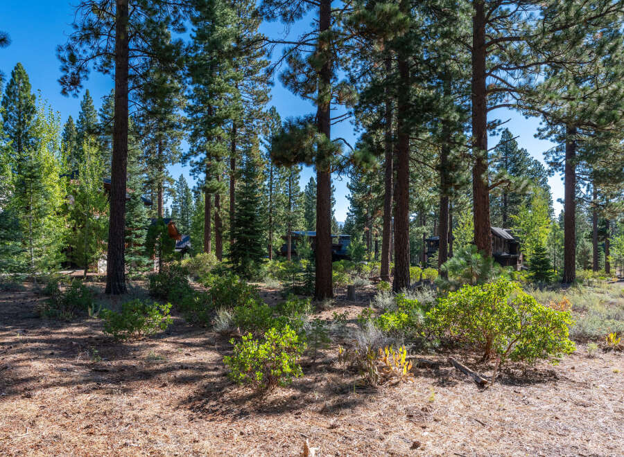 Nestled amongst towering trees, this property offers a serene escape.