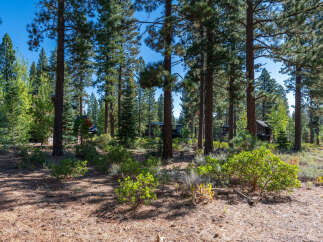 Nestled amongst towering trees, this property offers a serene escape.
