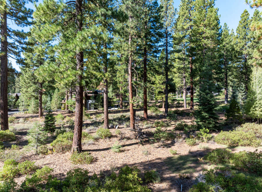 Nestled amidst a serene forest, this property offers a tranquil escape.