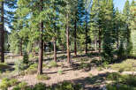Nestled amidst a serene forest, this property offers a tranquil escape.