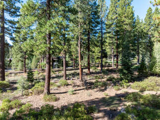 Nestled amidst a serene forest, this property offers a tranquil escape.