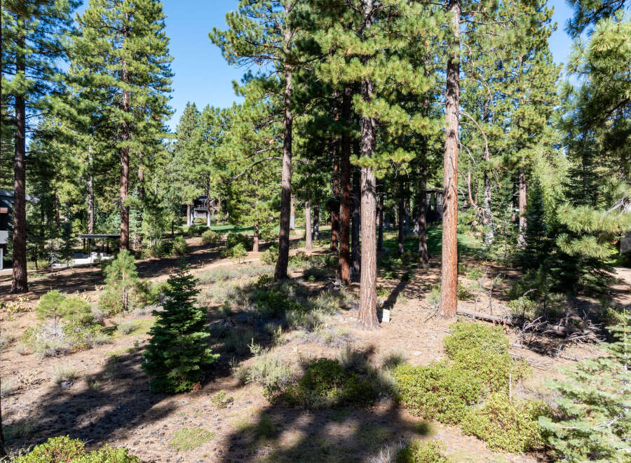 Discover the tranquility of this stunning property nestled amidst a lush forest.