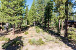 Nestled amidst a lush forest, this property offers a serene escape.