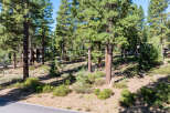 Nestled amidst a lush forest, this property offers a serene escape with mature trees and natural beauty.