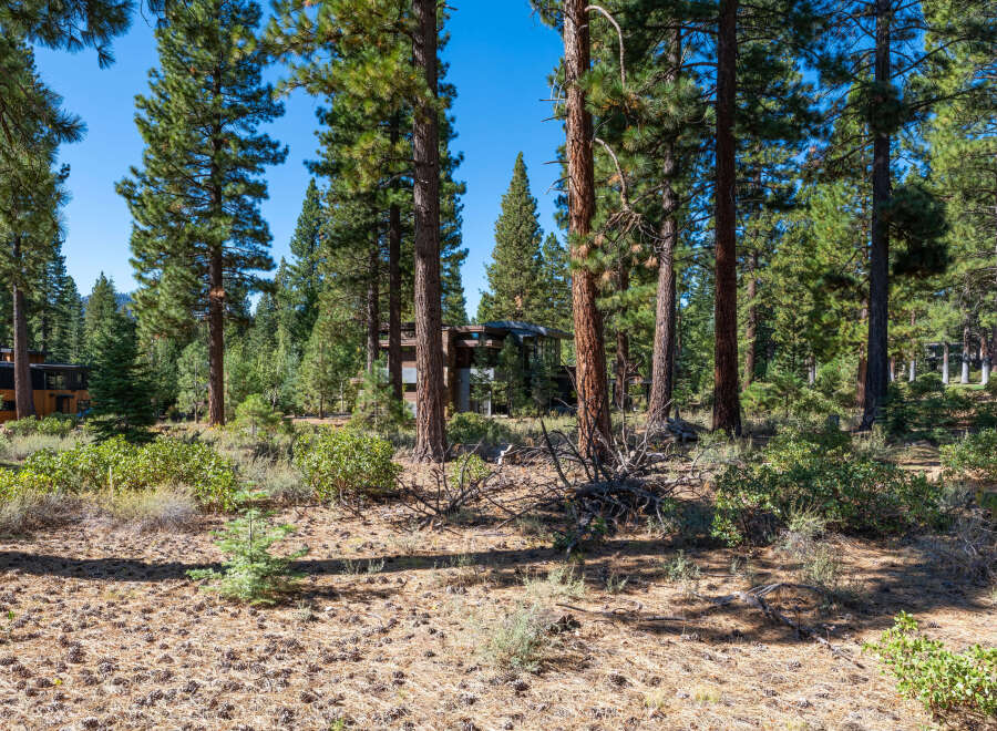 Nestled amidst towering trees, this property offers a serene escape.