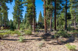 Nestled amidst towering trees, this property offers a serene escape.