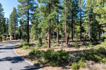 Nestled amidst a serene forest setting, this property offers a tranquil escape.