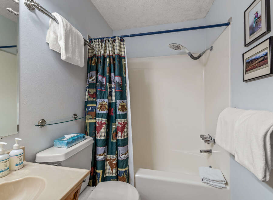 This charming bathroom features a cozy ambiance with its light blue walls and a unique shower curtain.
