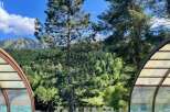 Escape to your own private oasis with this stunning property! Enjoy the crystal-clear pool surrounded by lush greenery and breathtaking mountain views.