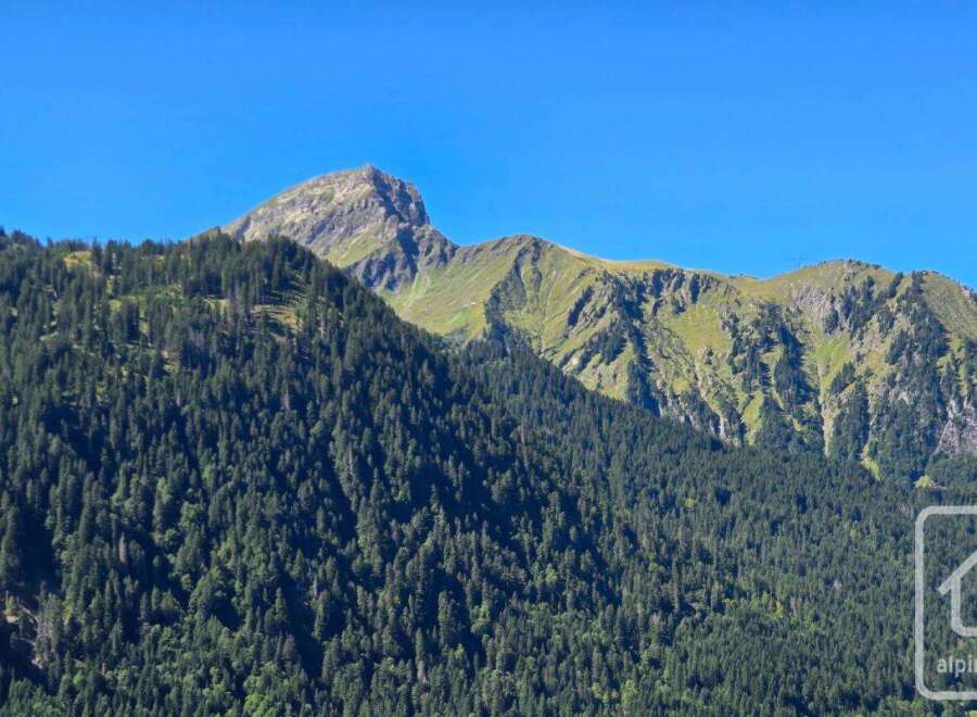 Discover breathtaking mountain views in this stunning property.