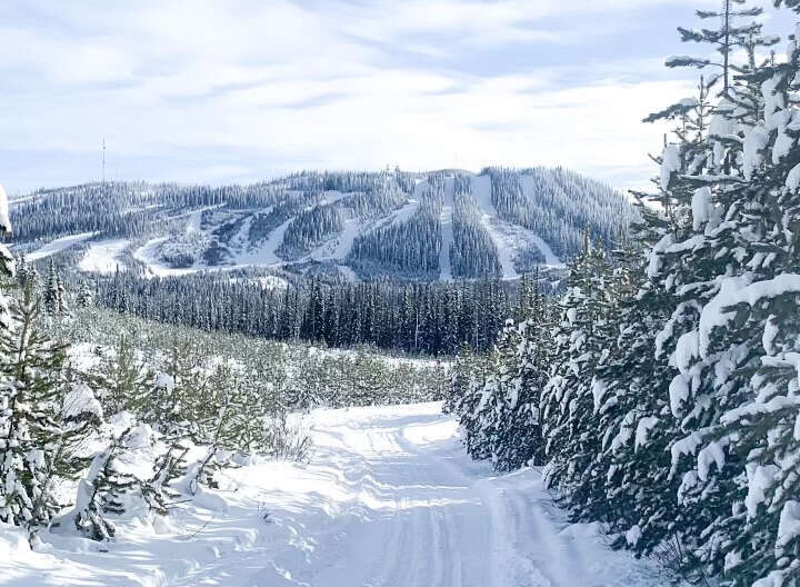 Imagine waking up to this winter wonderland every day! This stunning property offers breathtaking views of snow-covered mountains and a serene, tree-lined path perfect for winter activities.