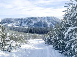 Imagine waking up to this winter wonderland every day! This stunning property offers breathtaking views of snow-covered mountains and a serene, tree-lined path perfect for winter activities.