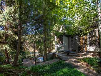 Escape to your own private oasis with this stunning property! Nestled amidst lush greenery and towering trees, this home offers a tranquil retreat.