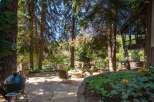 Enjoy the tranquility of this stunning outdoor space, perfect for relaxation and entertaining.