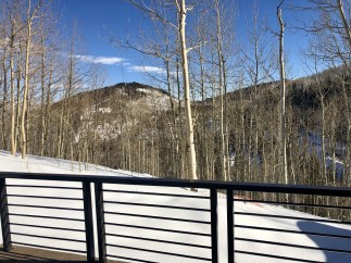 Stunning mountain views from a deck with a modern metal railing.