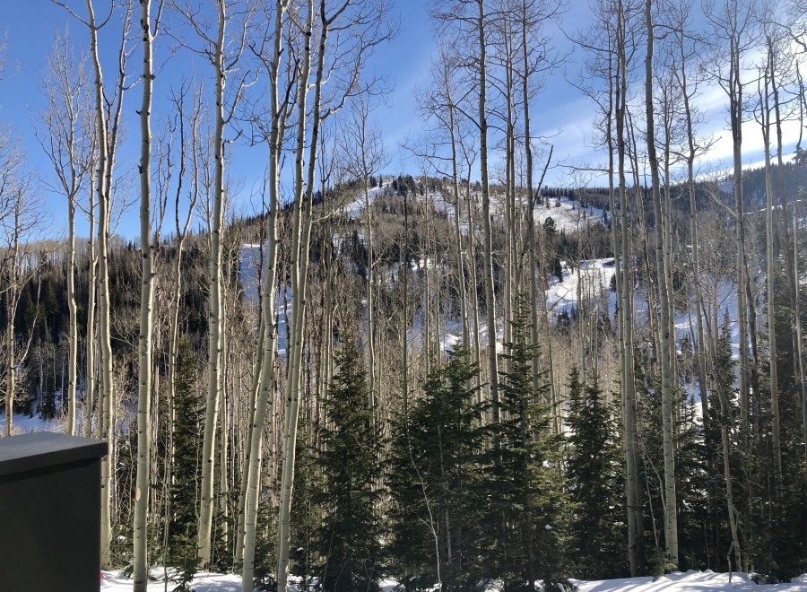 Stunning mountain views and a serene winter landscape from your private property.