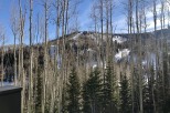 Stunning mountain views and a serene winter landscape from your private property.