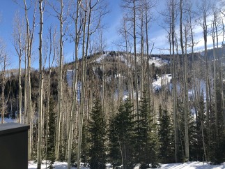 Stunning mountain views and a serene winter landscape from your private property.