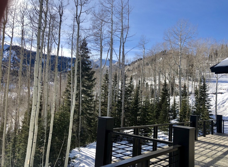 Stunning mountain views from this deck, nestled amongst tall aspen trees.