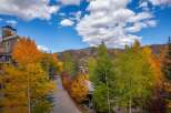 Experience the beauty of fall foliage in this stunning property.