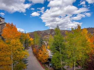 Experience the beauty of fall foliage in this stunning property.
