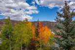 Experience the beauty of nature with this stunning property surrounded by vibrant autumn foliage.