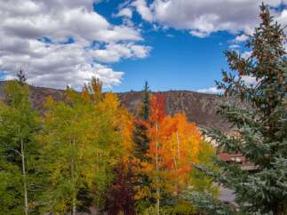 Experience the beauty of nature with this stunning property surrounded by vibrant autumn foliage.