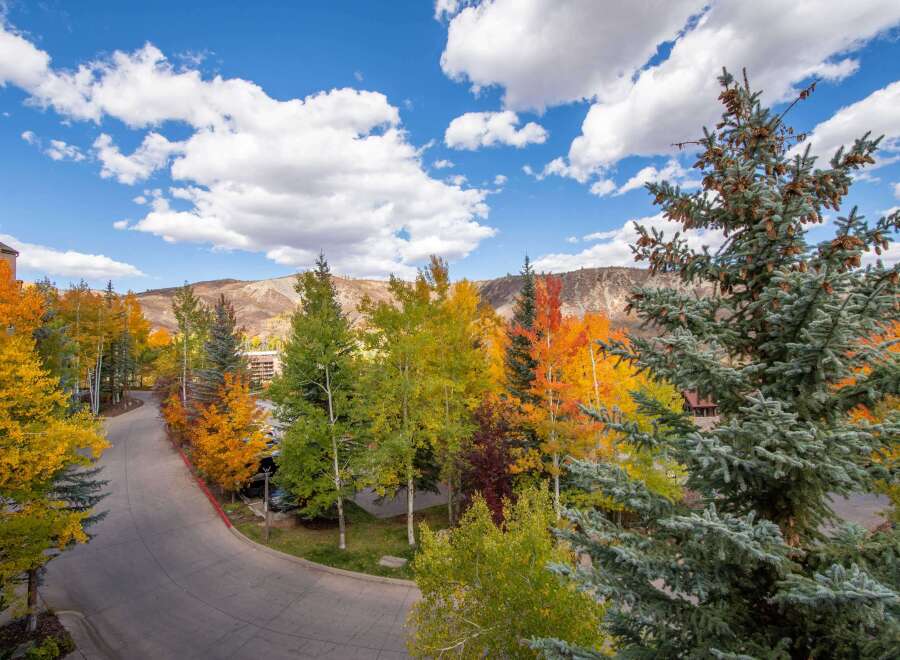 Experience the beauty of fall foliage in this stunning property! This home offers breathtaking views of colorful trees and a winding road.